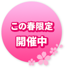 この春限定開催中