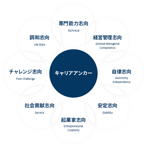 キャリアアンカー